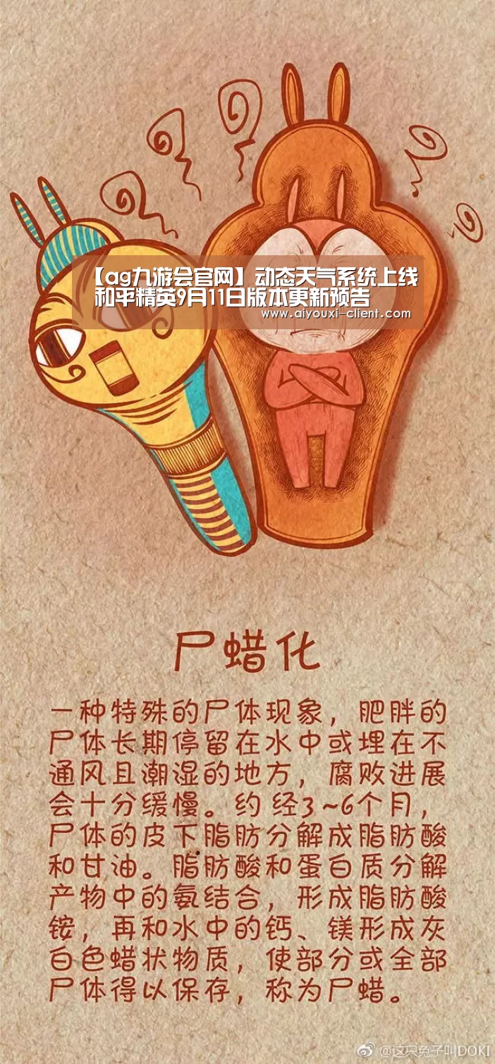 ag九游会官方入口