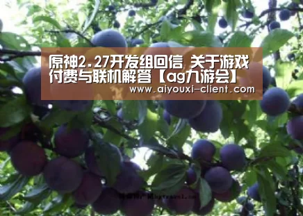 ag九游会官方入口