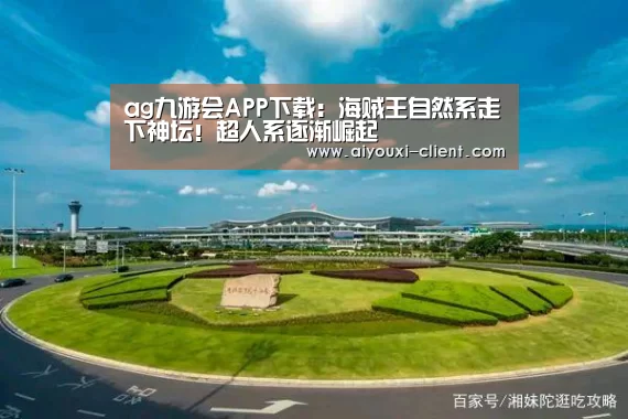 ag九游会APP下载:海贼王自然系走下神坛!超人系逐渐崛起(图1) ag九游会